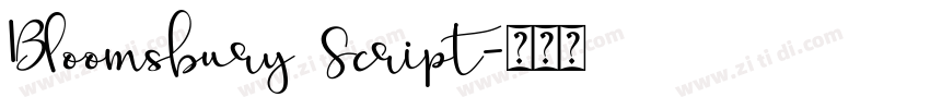 Bloomsbury Script字体转换